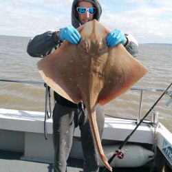 ray