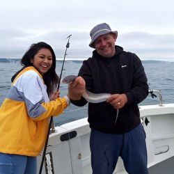 Small Conger Eel