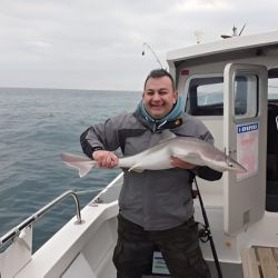 Smooth Hound