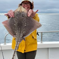 Thornback Ray