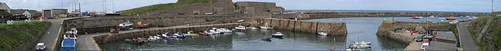 img03a.jpg